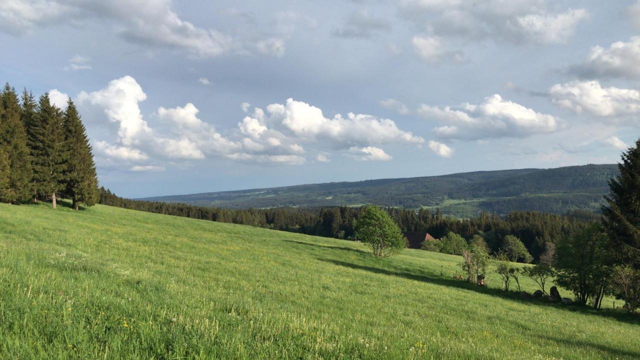 Ferienwohnung Zur Alten Schmiede Ленцкирх Экстерьер фото