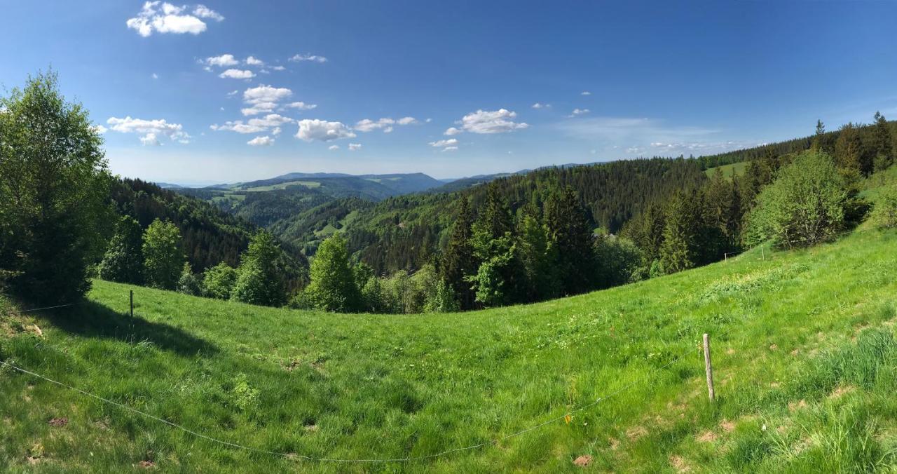 Ferienwohnung Zur Alten Schmiede Ленцкирх Экстерьер фото